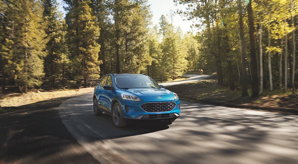 A blue 2023 Ford Escape is shown from the front during a 2023 Chevy Equinox vs 2023 Ford Escape comparison.