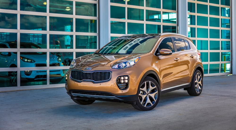 A gold 2019 Kia Sportage is shown parked outside of a Kia Sportage dealer.