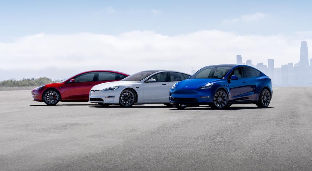 A red 2023 Tesla Model 3, white 2023 Tesla Model S, and blue 2023 Tesla Model Y are shown parked with a city in the background.
