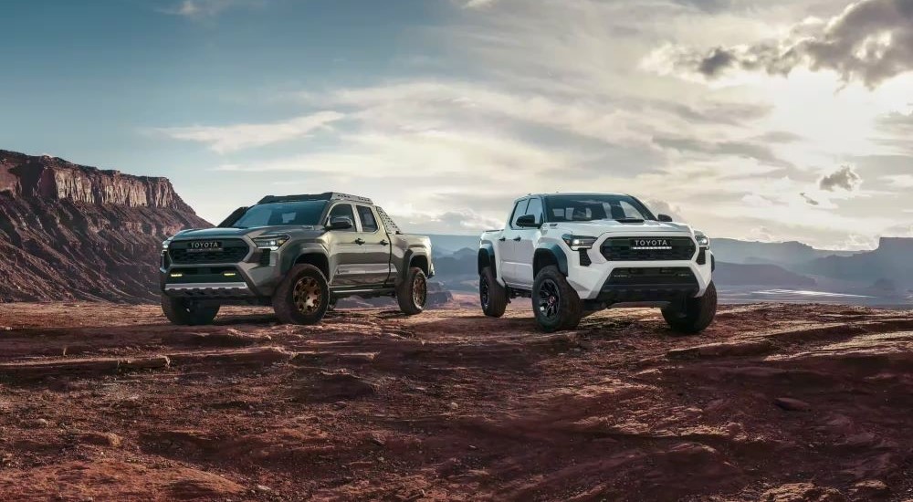 A green 2024 Toyota Tacoma Trailhunter and white TRD Pro are shown on a cloudy day.