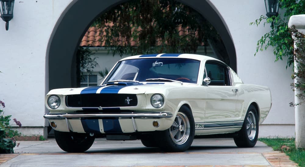 A blue and white 1965 Ford Mustang Shelby GT350 is shown parked near a house.