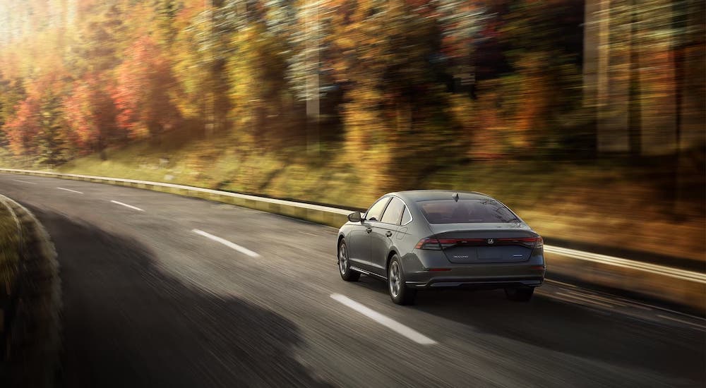 A grey 2024 Honda Accord is shown driving on a road near a forest.