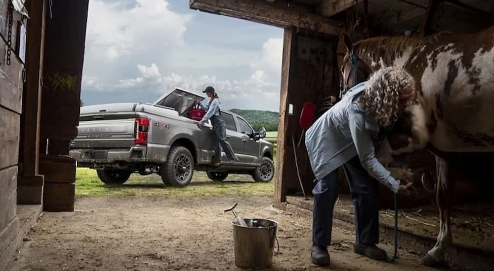 A silver 2024 Ford Super Duty F-350 Platinum is shown parked near a horse.