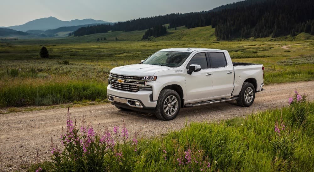 A popular Chevy Silverado for sale, a white 2019 Chevy Silverado 1500 High Country, is shown driving.