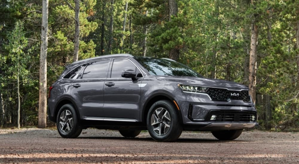 A grey 2024 Kia Sorento Hybrid is shown parked off-road in a forest.