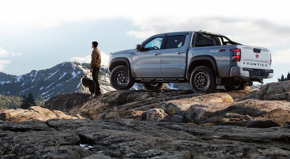 A light gray 2024 Nissan Frontier Pro-4X is shown parked on a mountain near a person and dog.