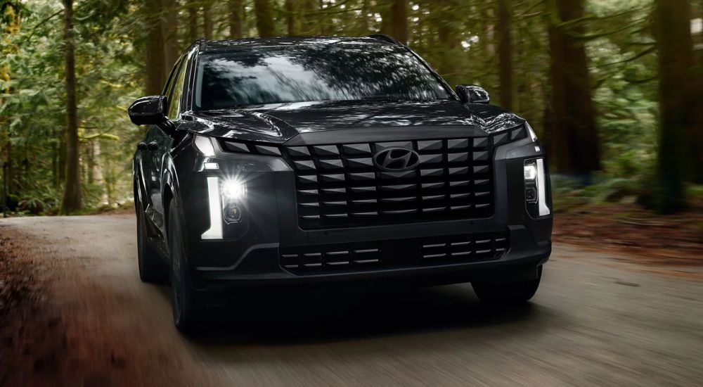 Head-on view of a black 2025 Hyundai Palisade Calligraphy Night driving in the woods.