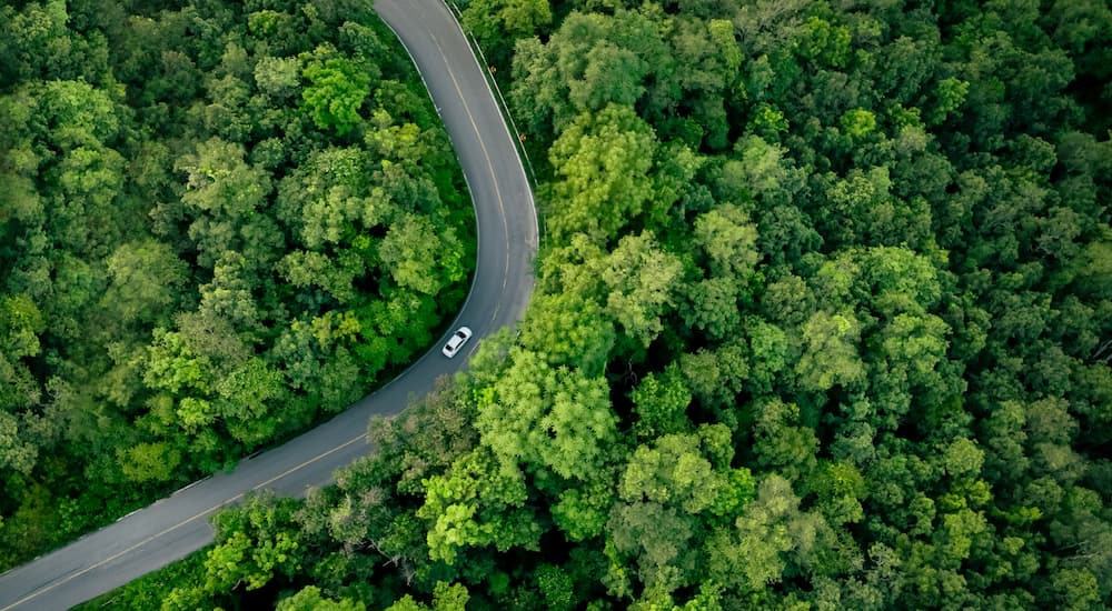 A car driving on a woodsy winding road.