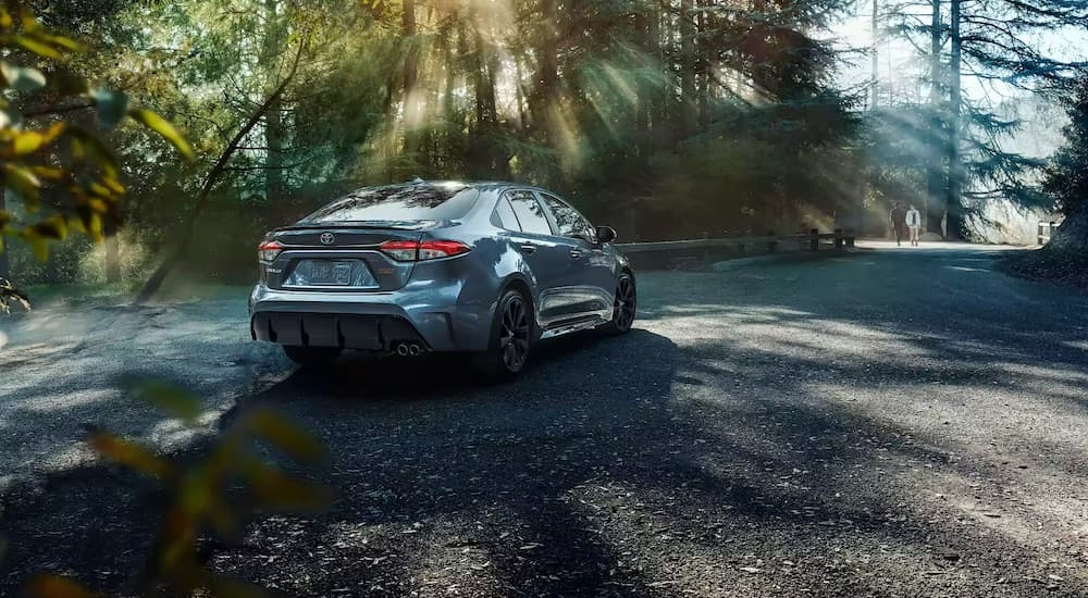 A grey 2025 Toyota Corolla from the rear at an angle.