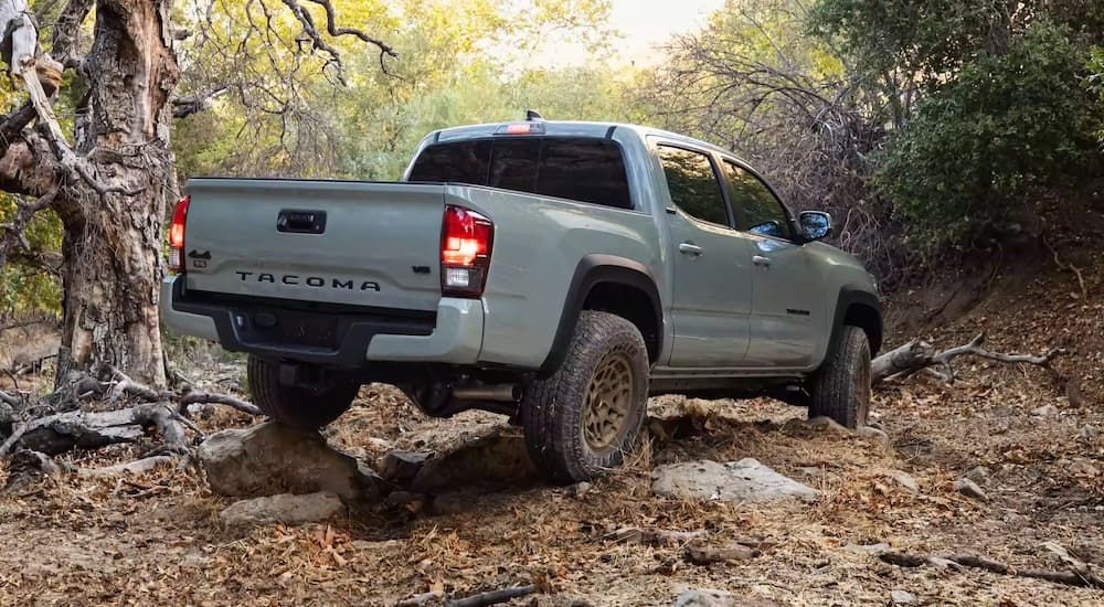 A grey 2022 Toyota Tacoma from the rear.