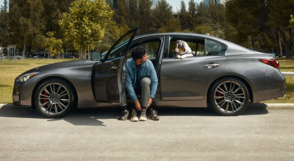 Grey 2026 Infiniti Q50 with a man and dog in the vehicle.